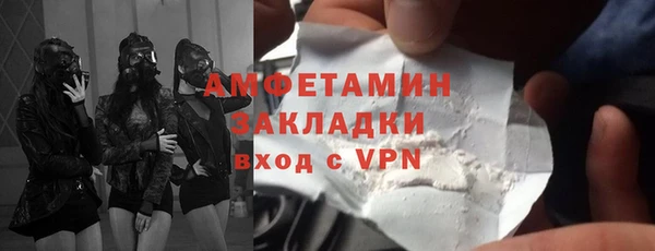 гидра Гатчина