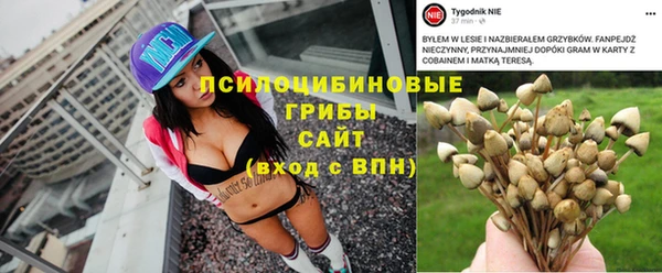 ГАЛЛЮЦИНОГЕННЫЕ ГРИБЫ Волосово