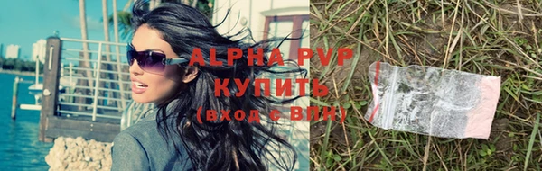 ГАЛЛЮЦИНОГЕННЫЕ ГРИБЫ Волосово