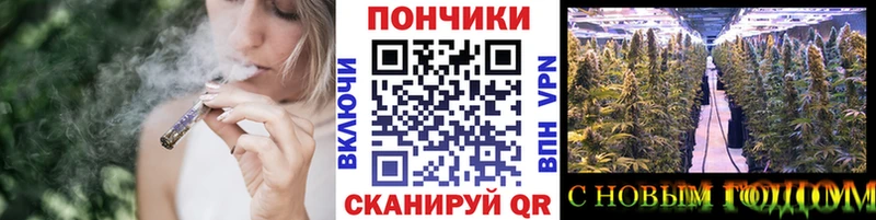 где можно купить   Ногинск  МЕГА ССЫЛКА  Шишки марихуана OG Kush 